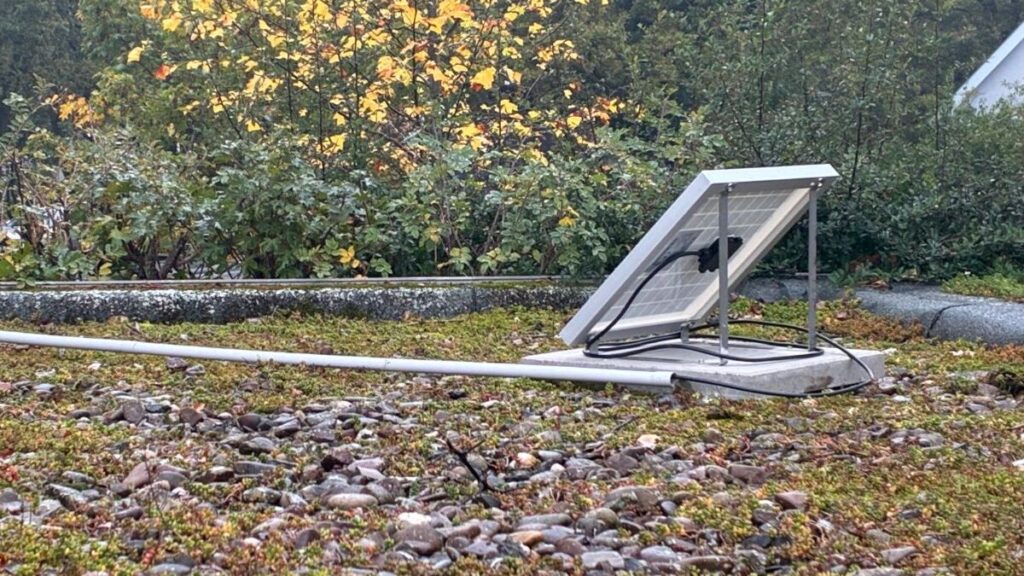 Aufgeständertes Solarmodul auf dem begrünten Flachdach einer Garage, die Leitung läuft in einem weißen Rohr zum Dachrand